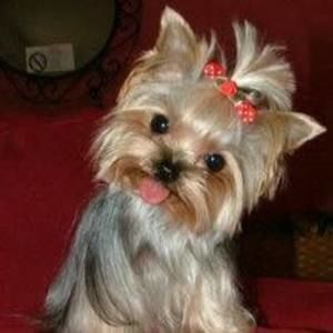 Meet your Posher, Sabrina